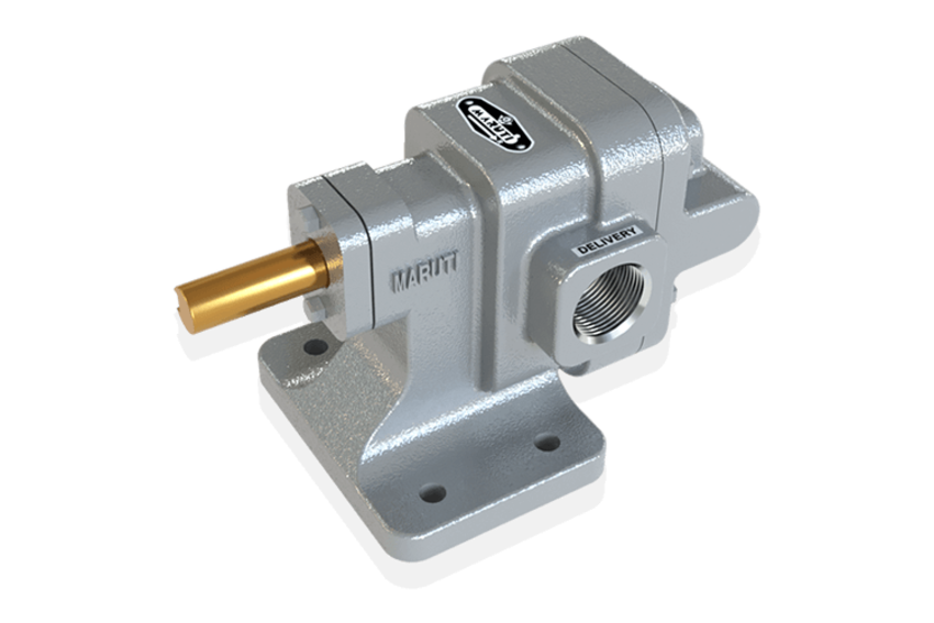 M series - CI - Rotary Gear Pump